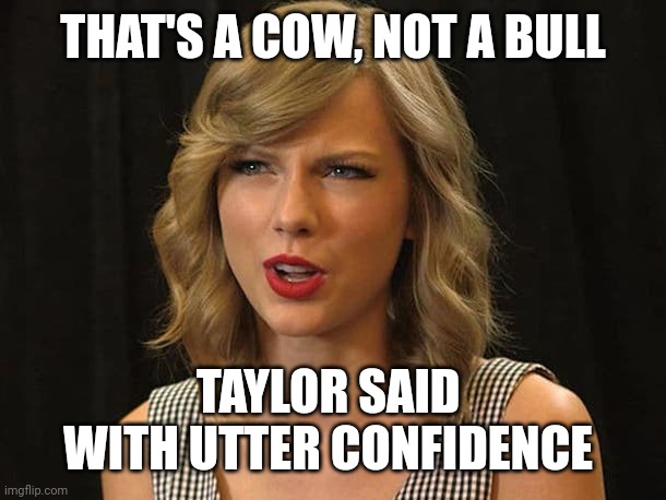 Taylor said with utter confidence | THAT'S A COW, NOT A BULL; TAYLOR SAID 
WITH UTTER CONFIDENCE | image tagged in taylor swiftie | made w/ Imgflip meme maker