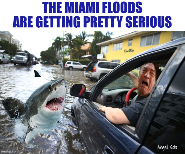 The Miami floods are getting pretty serious | THE MIAMI FLOODS
ARE GETTING PRETTY SERIOUS; Angel Soto | image tagged in robert deniro caught up in miami flood,robert de niro,miami,so i guess you can say things are getting pretty serious,florida | made w/ Imgflip meme maker