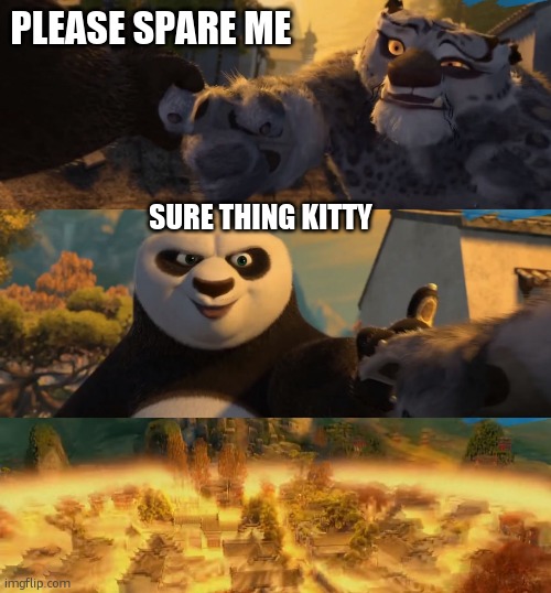 Kung Fu Panda counterpt | PLEASE SPARE ME; SURE THING KITTY | image tagged in kung fu panda counterpt | made w/ Imgflip meme maker
