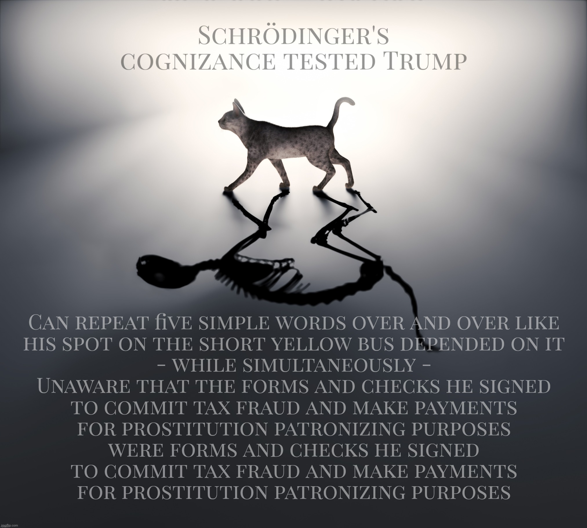 Schrödinger's Cognizance Tested Trump | Schrödinger's cognizance tested Trump; Can repeat five simple words over and over like
his spot on the short yellow bus depended on it
- while simultaneously -
Unaware that the forms and checks he signed
to commit tax fraud and make payments
for prostitution patronizing purposes
were forms and checks he signed
to commit tax fraud and make payments
for prostitution patronizing purposes | image tagged in schrodinger's cat,schrodinger's trump,very cognizant,compromised cognizance,trump,can remember five words but not stormy | made w/ Imgflip meme maker
