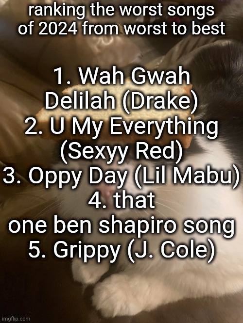 is mabu on drugs | ranking the worst songs of 2024 from worst to best; 1. Wah Gwah Delilah (Drake)
2. U My Everything (Sexyy Red)
3. Oppy Day (Lil Mabu)
4. that one ben shapiro song
5. Grippy (J. Cole) | image tagged in bread cat | made w/ Imgflip meme maker