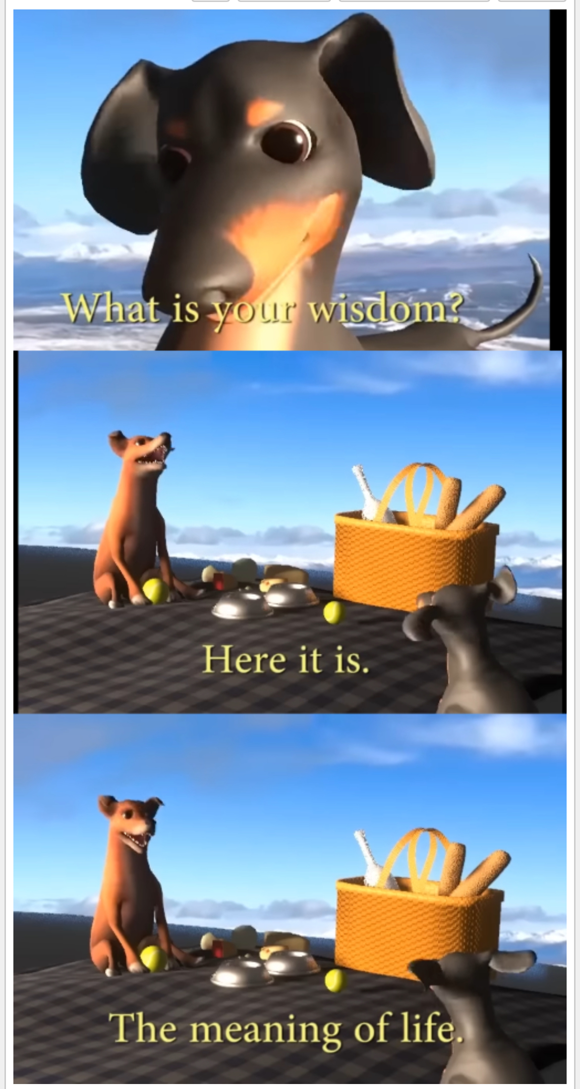 What is your wisdom? Blank Meme Template