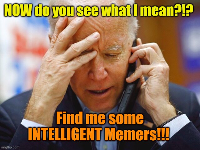 Biden phone call | NOW do you see what I mean?!? Find me some INTELLIGENT Memers!!! | image tagged in biden phone call | made w/ Imgflip meme maker