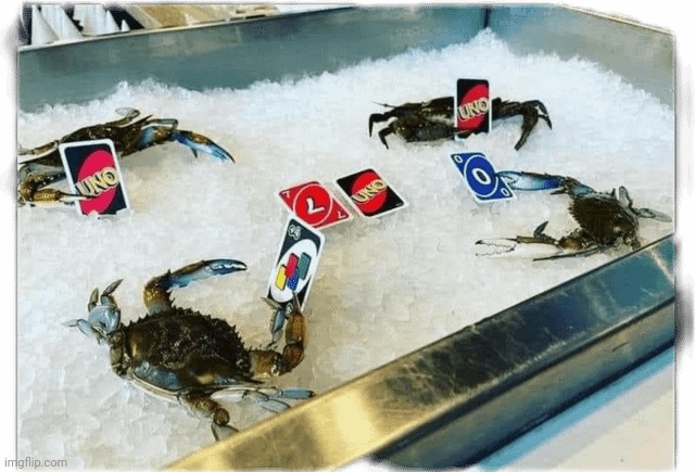 crab | image tagged in crab | made w/ Imgflip meme maker