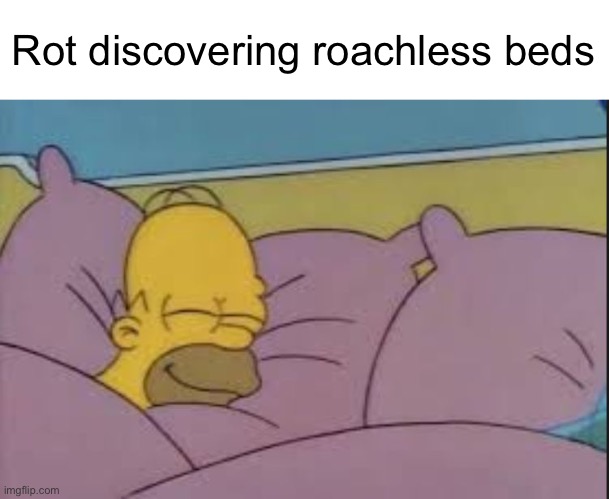 how i sleep homer simpson | Rot discovering roachless beds | image tagged in how i sleep homer simpson | made w/ Imgflip meme maker