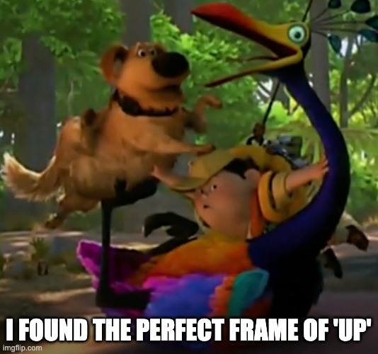 I FOUND THE PERFECT FRAME OF 'UP' | image tagged in fun | made w/ Imgflip meme maker