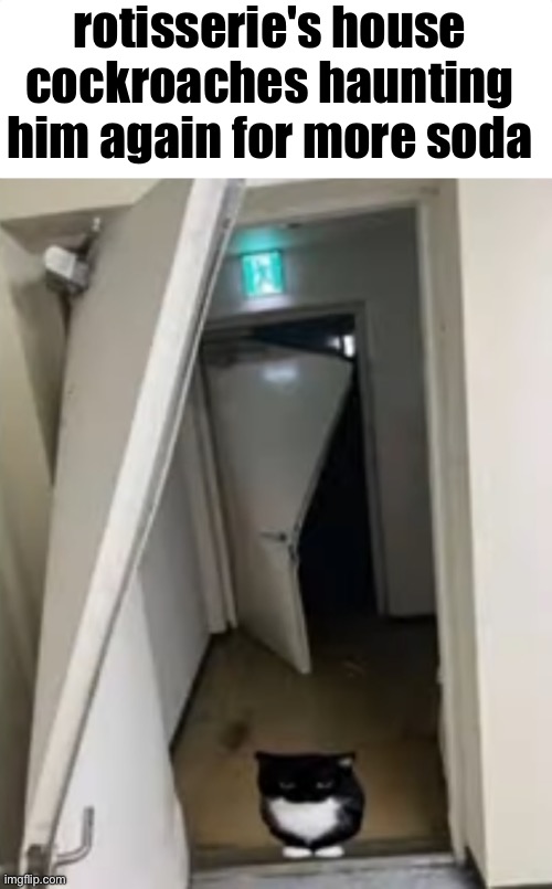 rotisserie's house cockroaches haunting him again for more soda | made w/ Imgflip meme maker