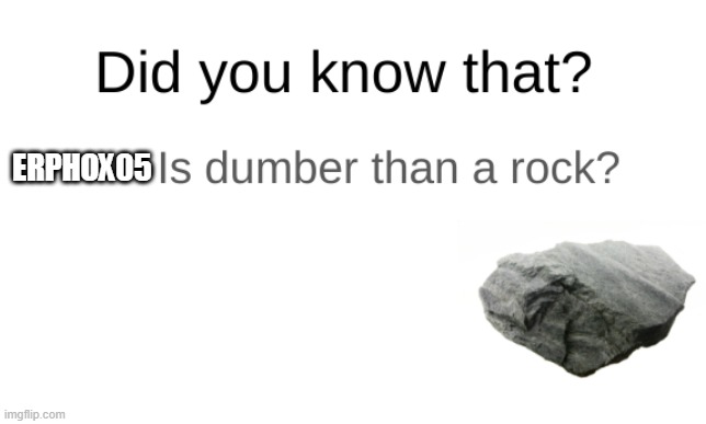 Did you know that (blank) is dumber than a rock? | ERPHOX05 | image tagged in did you know that blank is dumber than a rock | made w/ Imgflip meme maker