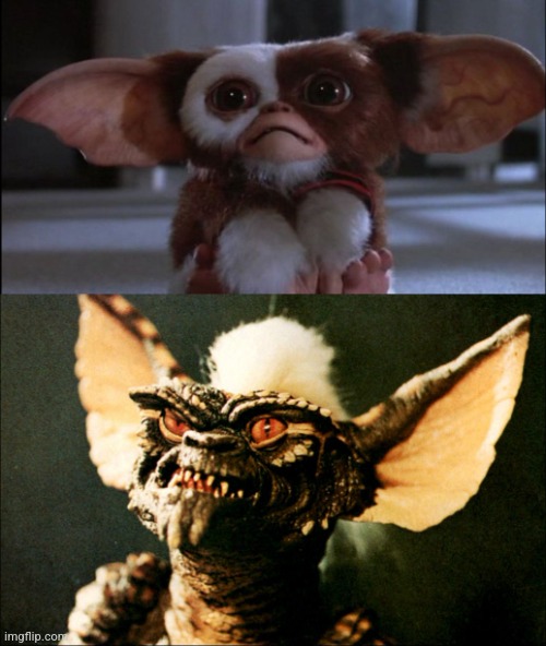 Gremlin & Mogwai | image tagged in gremlin mogwai | made w/ Imgflip meme maker