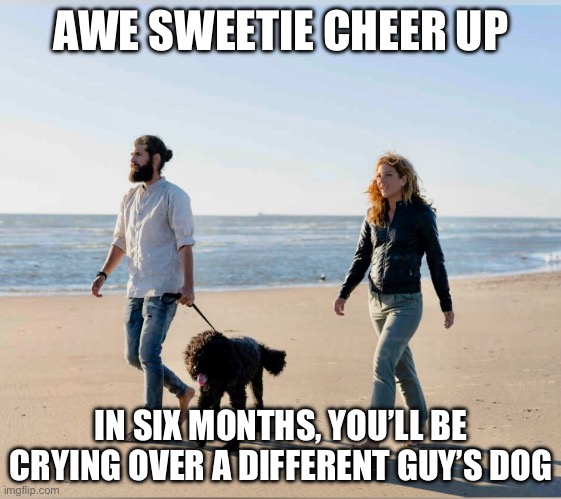 Cheer Up | AWE SWEETIE CHEER UP; IN SIX MONTHS, YOU’LL BE CRYING OVER A DIFFERENT GUY’S DOG | image tagged in dating,relatable,breakup,fun,fun memes | made w/ Imgflip meme maker