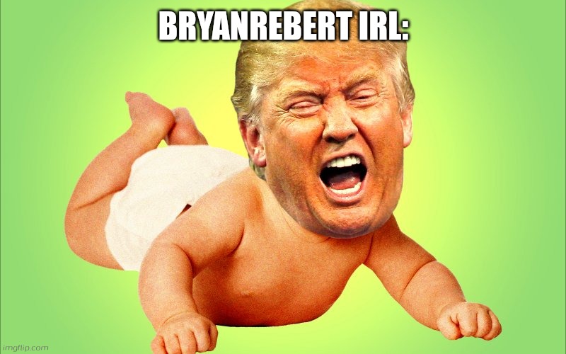 I another found deviantart graduations hater | BRYANREBERT IRL: | image tagged in baby trump,graduation,deviantart | made w/ Imgflip meme maker