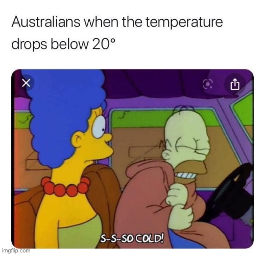 Too cold | image tagged in cold,homer simpson,meanwhile in australia | made w/ Imgflip meme maker