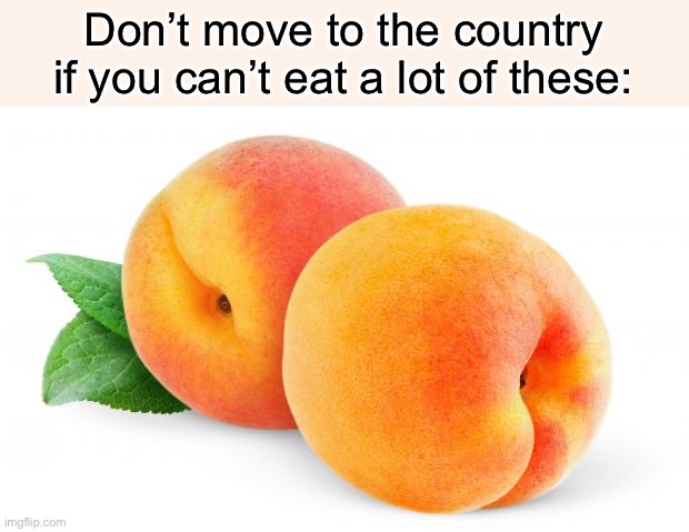 Peaches | Don’t move to the country if you can’t eat a lot of these: | image tagged in peaches | made w/ Imgflip meme maker