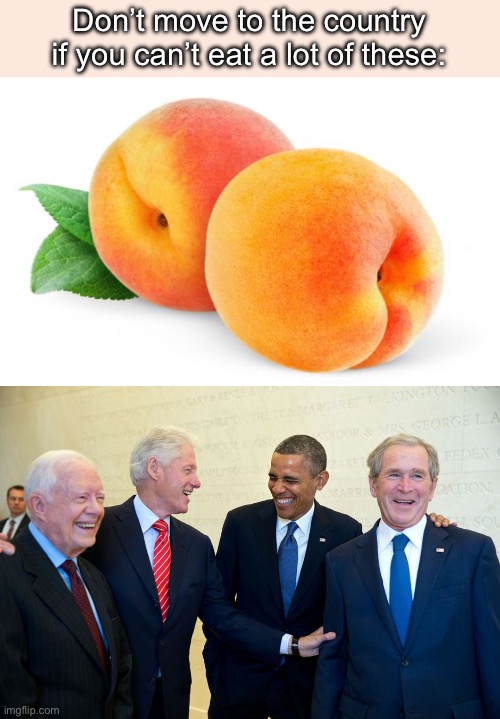 The Presidents of the United States | Don’t move to the country if you can’t eat a lot of these: | image tagged in peaches,former us presidents laughing,united states | made w/ Imgflip meme maker