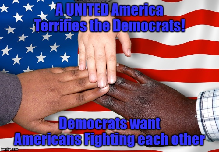 A United America Terrifies the Democrats | A UNITED America Terrifies the Democrats! Democrats want Americans Fighting each other | image tagged in united states melting pot hands america,fighting | made w/ Imgflip meme maker