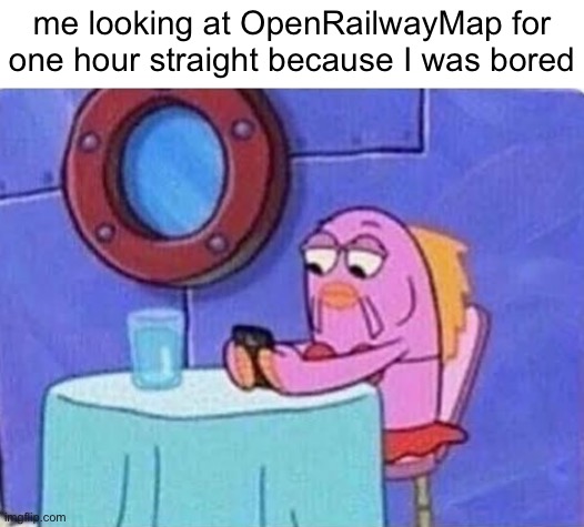 i like trains, okay? | me looking at OpenRailwayMap for one hour straight because I was bored | image tagged in bored spongebob fish on cellphone,i like trains,bored,i have no idea what i am doing | made w/ Imgflip meme maker