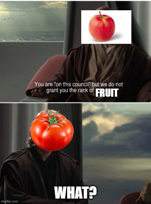 my family argues a lot about this | FRUIT; WHAT? | image tagged in you are on this council,fruit | made w/ Imgflip meme maker