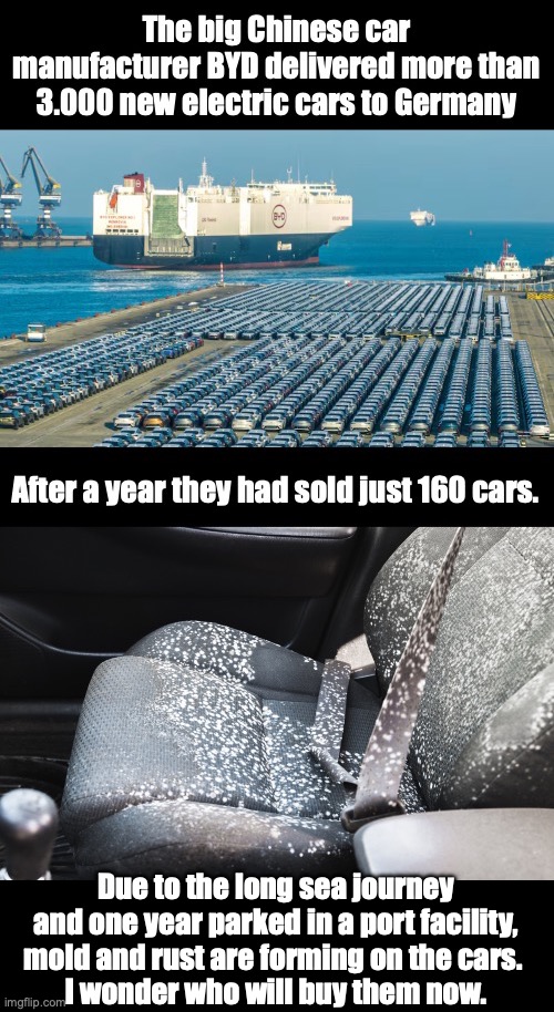 When you order electric vehicles on Wish | Due to the long sea journey and one year parked in a port facility, mold and rust are forming on the cars. 
I wonder who will buy them now. | image tagged in electric car,byd,germany,mold,rust | made w/ Imgflip meme maker