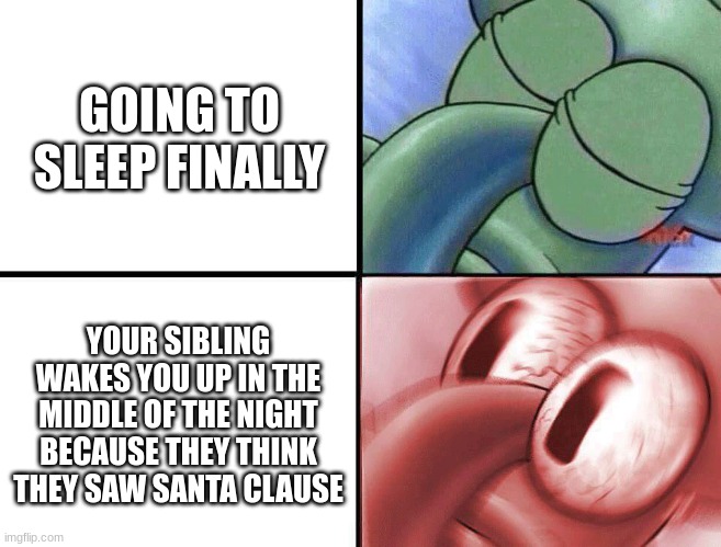 sleeping Squidward | GOING TO SLEEP FINALLY; YOUR SIBLING WAKES YOU UP IN THE MIDDLE OF THE NIGHT BECAUSE THEY THINK THEY SAW SANTA CLAUSE | image tagged in sleeping squidward | made w/ Imgflip meme maker