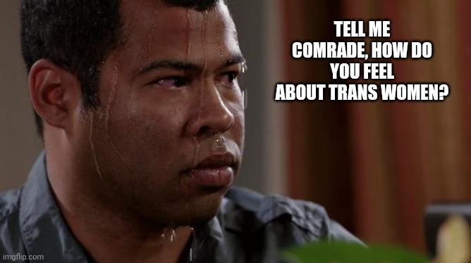 The future | TELL ME COMRADE, HOW DO YOU FEEL ABOUT TRANS WOMEN? | image tagged in sweating bullets,transgender,nazis | made w/ Imgflip meme maker