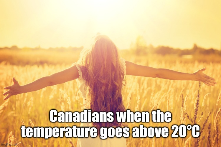 Sunny Day | Canadians when the temperature goes above 20°C | image tagged in sunny day | made w/ Imgflip meme maker