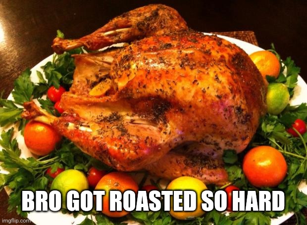 Roasted turkey | BRO GOT ROASTED SO HARD | image tagged in roasted turkey | made w/ Imgflip meme maker