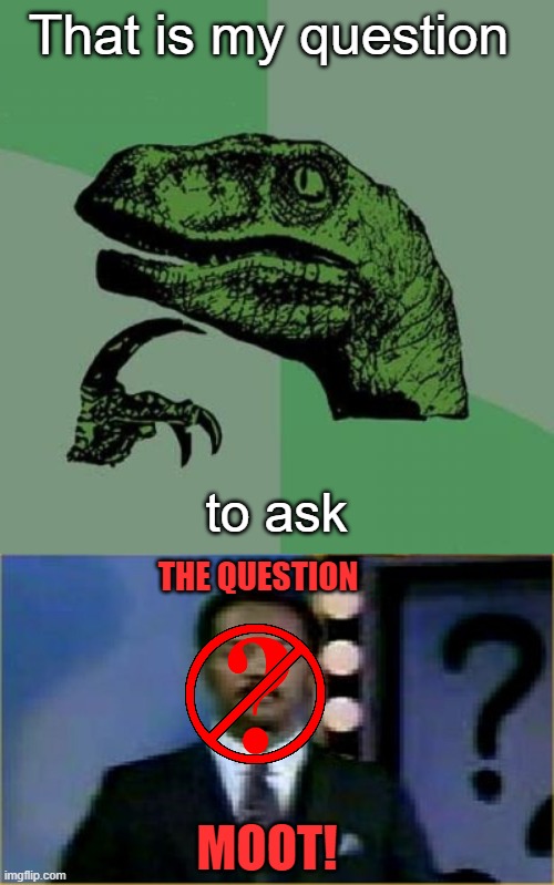 That is my question to ask MOOT! THE QUESTION | image tagged in the question is moot | made w/ Imgflip meme maker