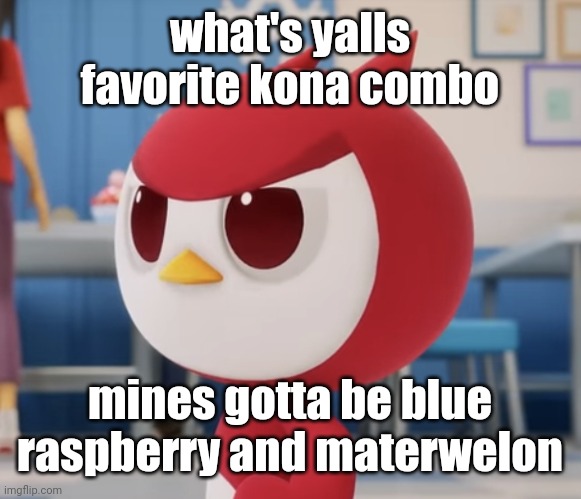 flugburgr | what's yalls favorite kona combo; mines gotta be blue raspberry and materwelon | image tagged in flugburgr | made w/ Imgflip meme maker