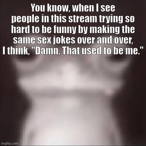 I may have had somewhat of an influence idk | You know, when I see people in this stream trying so hard to be funny by making the same sex jokes over and over, I think, "Damn. That used to be me." | image tagged in frogk | made w/ Imgflip meme maker