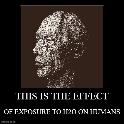 H2O | THIS IS THE EFFECT | OF EXPOSURE TO H2O ON HUMANS | image tagged in h2o delirious,don't | made w/ Imgflip demotivational maker