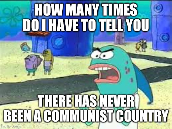 There can't be. The structure of a country doesn't go with commnism | HOW MANY TIMES DO I HAVE TO TELL YOU; THERE HAS NEVER BEEN A COMMUNIST COUNTRY | image tagged in how many time do i have to teach you this lesson old man,communism,communist,socialist,socialism,leftist | made w/ Imgflip meme maker