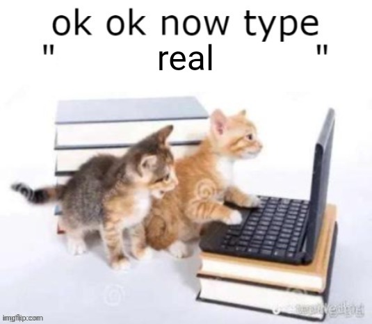 ok ok now type | real | image tagged in ok ok now type | made w/ Imgflip meme maker