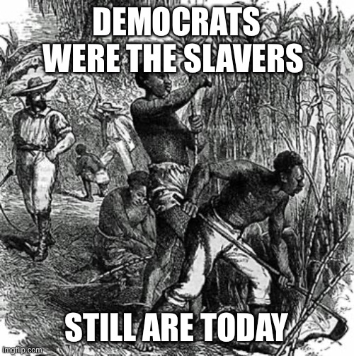Plantation Slaves | DEMOCRATS WERE THE SLAVERS STILL ARE TODAY | image tagged in plantation slaves | made w/ Imgflip meme maker