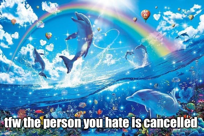 Happy dolphin rainbow | tfw the person you hate is cancelled | image tagged in happy dolphin rainbow | made w/ Imgflip meme maker