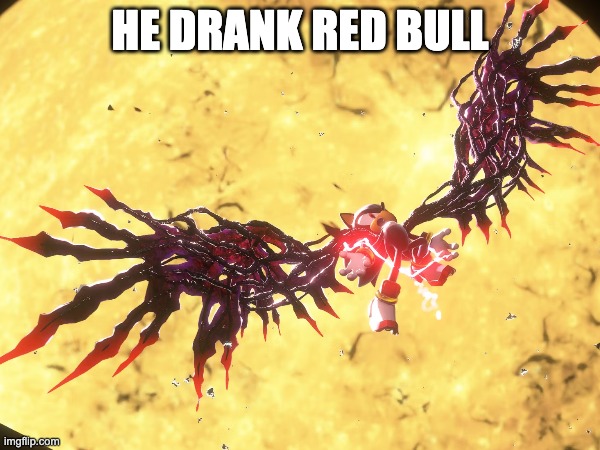 Red Bull gives you Wiiings | HE DRANK RED BULL | image tagged in shadow the hedgehog,sonic the hedgehog,sonic,shadow,video games,videogames | made w/ Imgflip meme maker