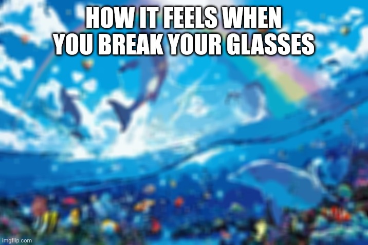 Happy dolphin rainbow | HOW IT FEELS WHEN YOU BREAK YOUR GLASSES | image tagged in happy dolphin rainbow | made w/ Imgflip meme maker