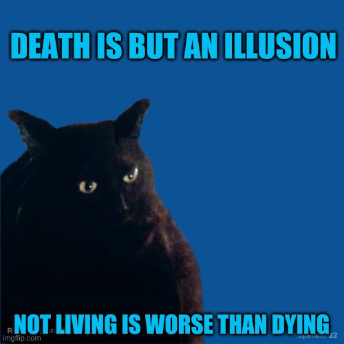Contemplate Cat | DEATH IS BUT AN ILLUSION; NOT LIVING IS WORSE THAN DYING | image tagged in contemplate cat,death,live,living the dream,bad joke,what if i told you | made w/ Imgflip meme maker