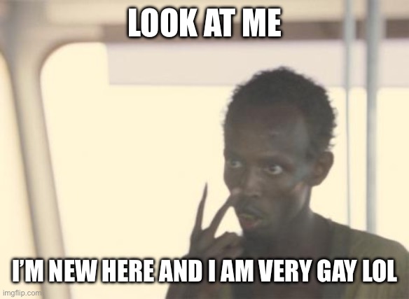:3 | LOOK AT ME; I’M NEW HERE AND I AM VERY GAY LOL | image tagged in memes,i'm the captain now | made w/ Imgflip meme maker