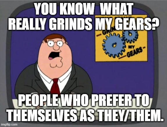 What happened to society? and what happened to she or he | YOU KNOW  WHAT REALLY GRINDS MY GEARS? PEOPLE WHO PREFER TO  THEMSELVES AS THEY/THEM. | image tagged in memes,peter griffin news,non binary,bring back bullying | made w/ Imgflip meme maker