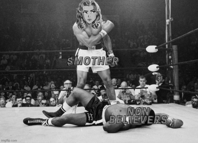 Mother defeats all | image tagged in mother,boxing | made w/ Imgflip meme maker
