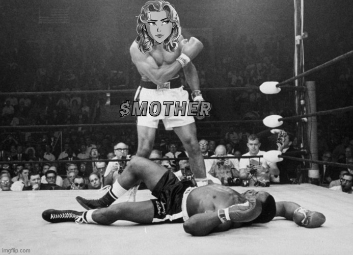 mother defeats | image tagged in mother,boxing | made w/ Imgflip meme maker