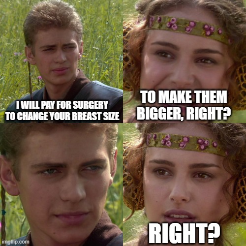 Anakin Padme 4 Panel | I WILL PAY FOR SURGERY TO CHANGE YOUR BREAST SIZE; TO MAKE THEM BIGGER, RIGHT? RIGHT? | image tagged in anakin padme 4 panel | made w/ Imgflip meme maker