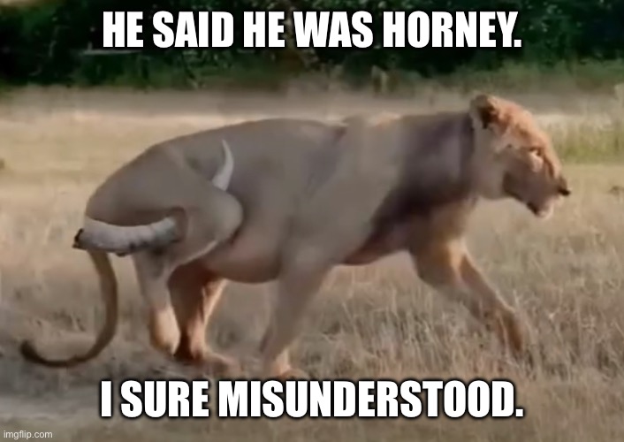 Horney | HE SAID HE WAS HORNEY. I SURE MISUNDERSTOOD. | image tagged in funny memes | made w/ Imgflip meme maker