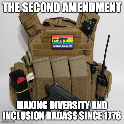 How to talk to anti-gunners | THE SECOND AMENDMENT; MAKING DIVERSITY AND INCLUSION BADASS SINCE 1776 | image tagged in badass,based,empowerment,relatable | made w/ Imgflip meme maker