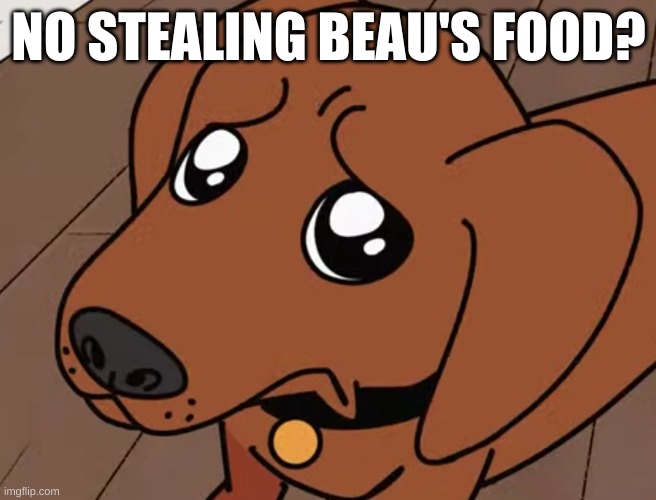 Sad Winston | NO STEALING BEAU'S FOOD? | image tagged in sad winston,haminations,dog,dogs,june,sonic the hedgehog | made w/ Imgflip meme maker