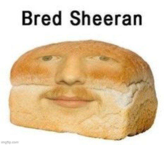 Bred Sheeran | image tagged in bred sheeran | made w/ Imgflip meme maker