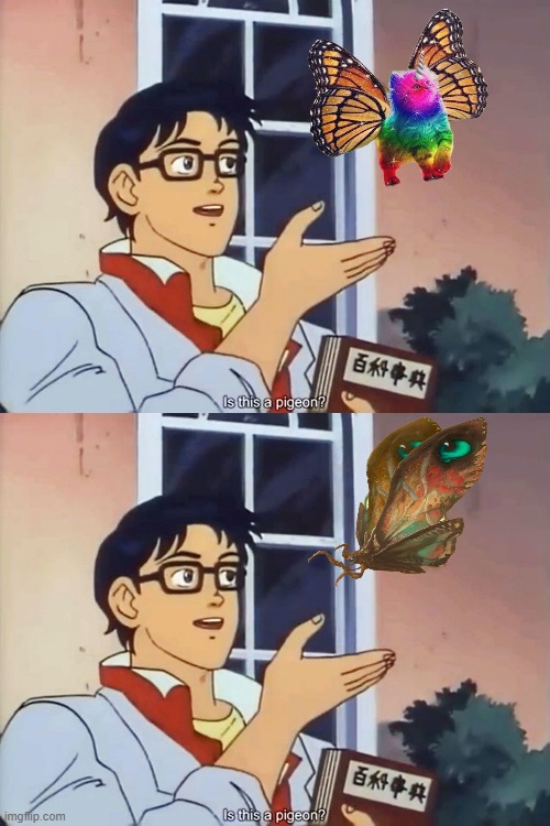 Is this a . . . should we be worried? | image tagged in anime butterfly meme,pigeon,butterfly,confusion,reality | made w/ Imgflip meme maker