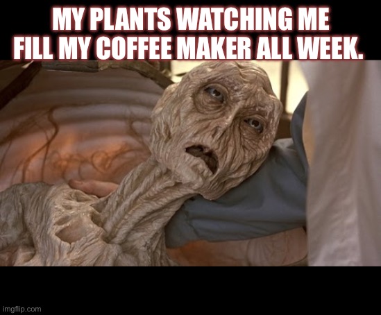 Alien Dying | MY PLANTS WATCHING ME FILL MY COFFEE MAKER ALL WEEK. | image tagged in alien dying | made w/ Imgflip meme maker