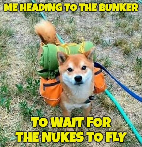 DogePadre "Its all in the plan" | ME HEADING TO THE BUNKER; TO WAIT FOR THE NUKES TO FLY | image tagged in doge,archie bunker,world war 3,shiba inu,nuclear war,fjb | made w/ Imgflip meme maker