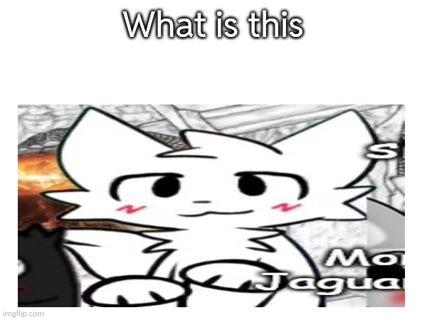 What is this | made w/ Imgflip meme maker